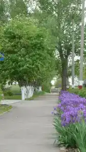 Светлана - 43