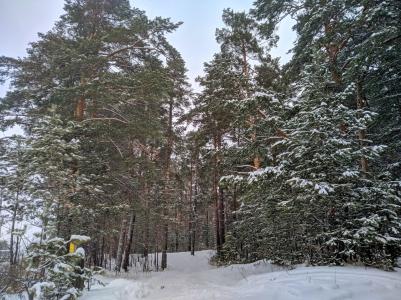 Детский туберкулезный санаторий - 2