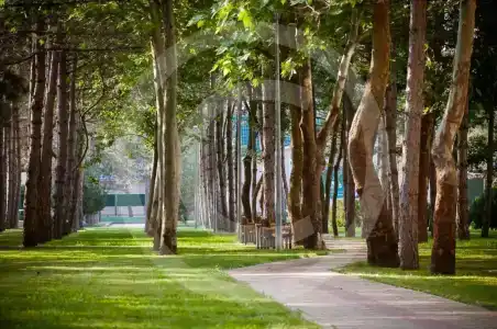 Сибур-Юг - 7