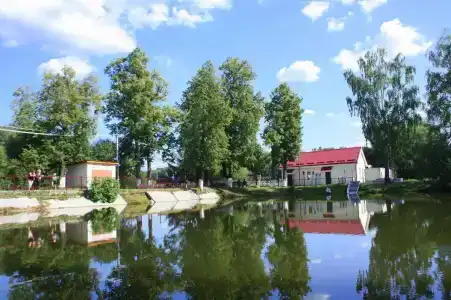 Зеленая роща - 13