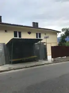 Кедр - 0