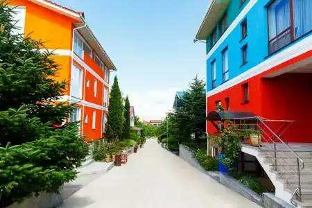 Вязовая роща - 50