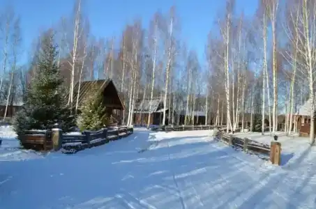 Колкуново - 19