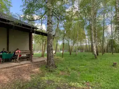 Дон - 1