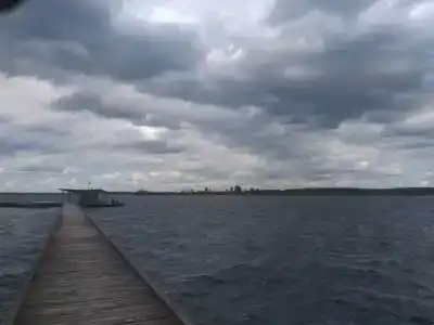 Белый Дельфин - 31