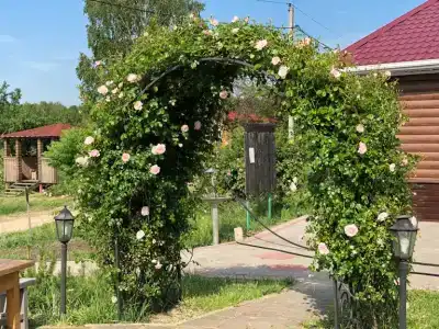 Хутор Песочное - 33