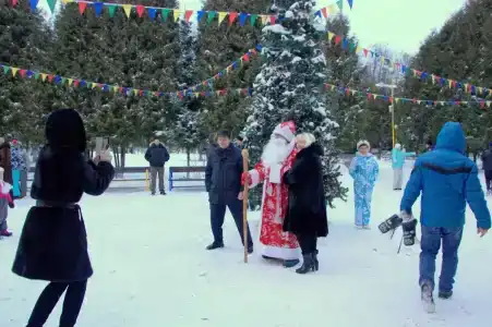 Зеленая роща - 62