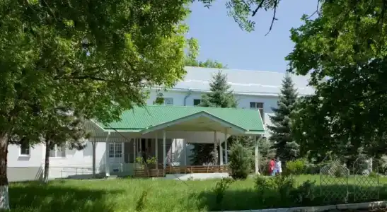 Ромашка - 2