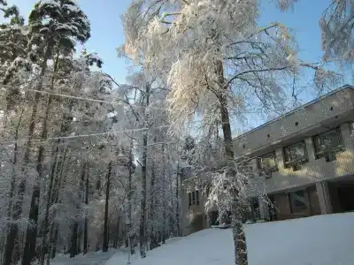 Пионер - 7