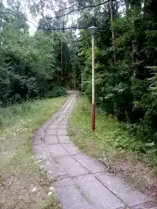 Сосновый Бор - 19