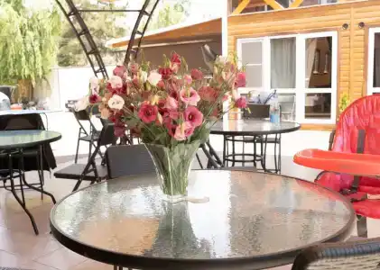 Власовых - 20