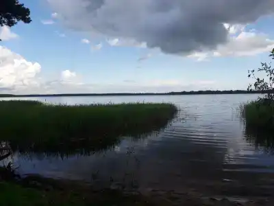 Пихтовая Аллея - 20