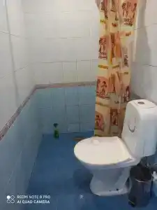 Светлана - 2
