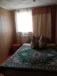 Патрина - 12