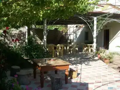 Фламинго - 4