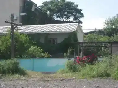 Глициния - 9