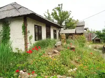 Residence Gulyaypole - 13