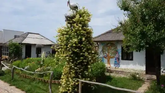 Residence Gulyaypole - 15