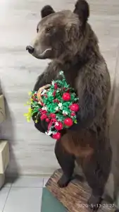 Регион - 5
