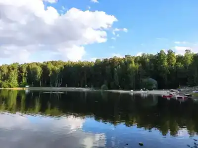 Чистая Заводь - 7