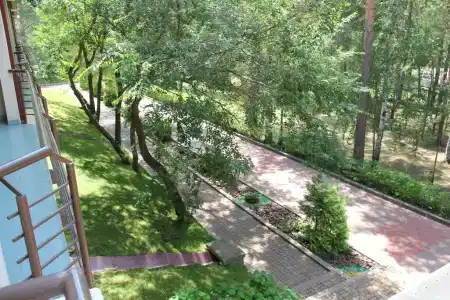Хвойный - 0
