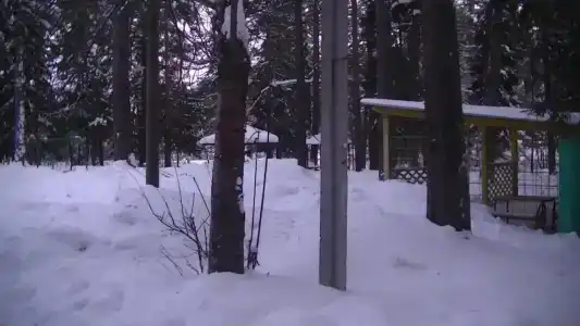 Детский санаторий Орлёнок - 2
