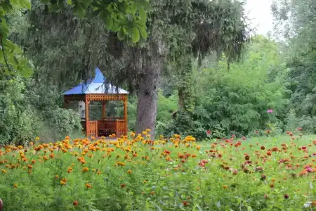Пады - 1