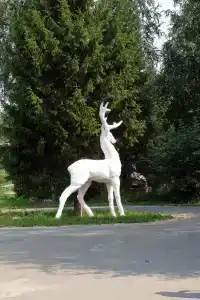 Санаторий им. А.П. Бородина - 2