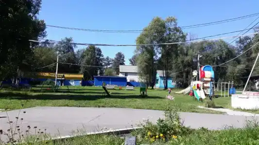 Чайка - 0