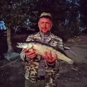 Левада - 20