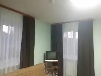 Багира - 9