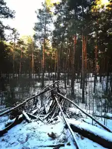 Ясная Поляна - 13