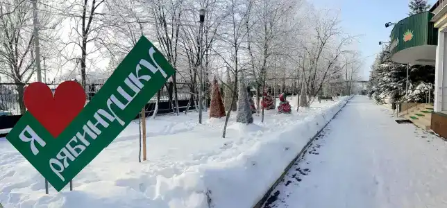 Рябинушка - 56