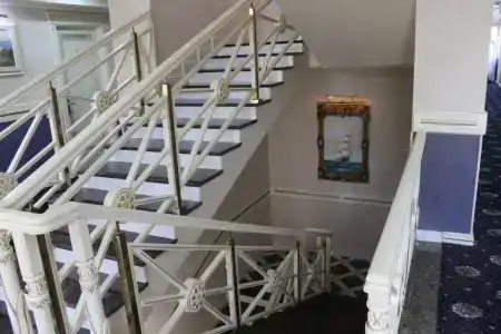 Дельфин - 100