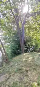 Даль - 28