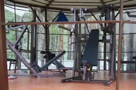 Саянский домик - 39