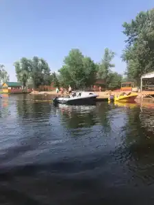 Мечта - 39