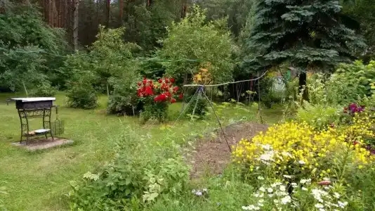 Озеро Белое - 4