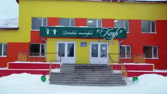 Кедр - 8