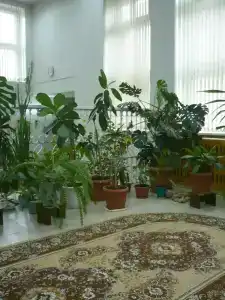 Детский психоневрологический санаторий - 8