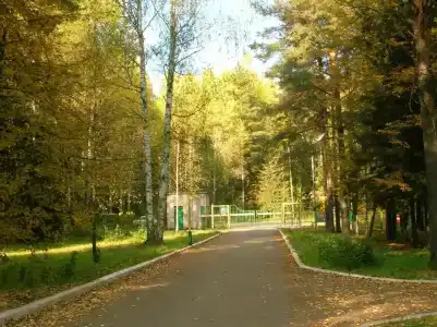 Селычка - 2