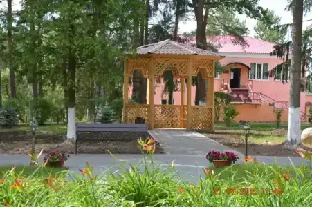 Борок - 0