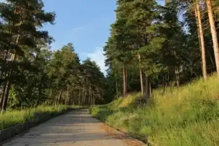 Алые паруса - 1