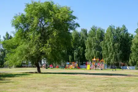 Ласточка - 13