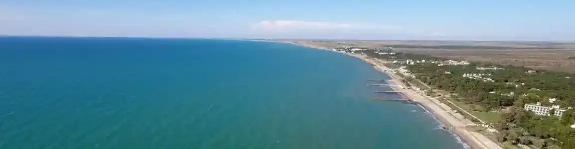 Золотой лев - 55