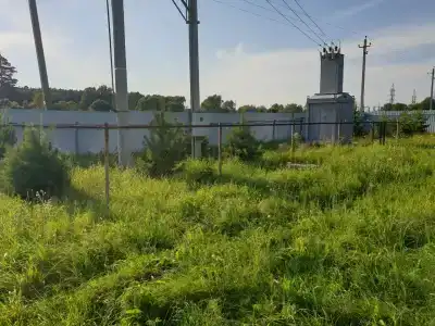 Салтыково на Оке - 15