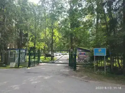 Звездочка - 22