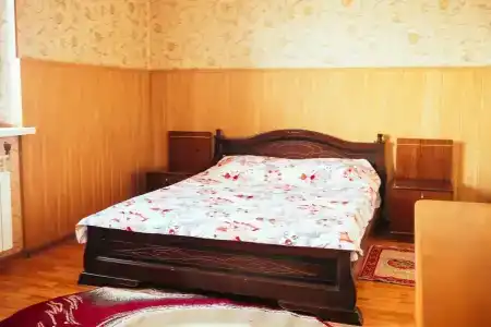 Черепаха - 38