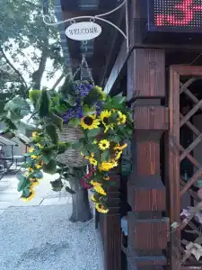 Домик с верандой - 38