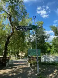 Березка - 7